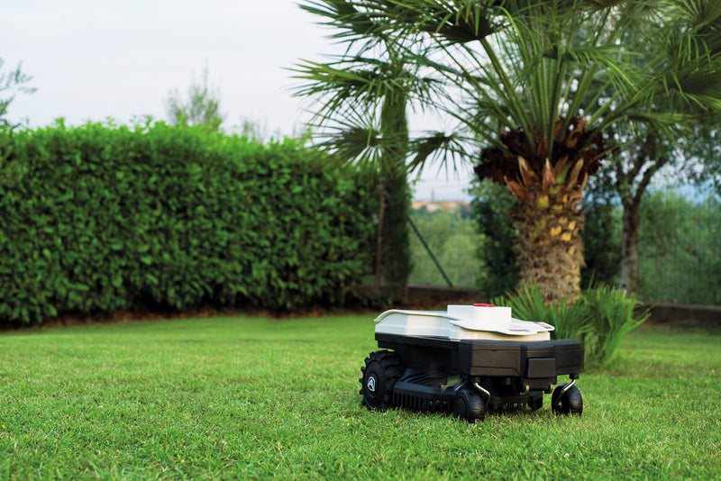 Twenty Deluxe Ambrogio Robotic Lawn Mower on lawn